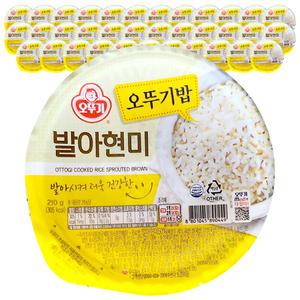 맛있는 오뚜기밥 발아현미 210g 현미밥 36개