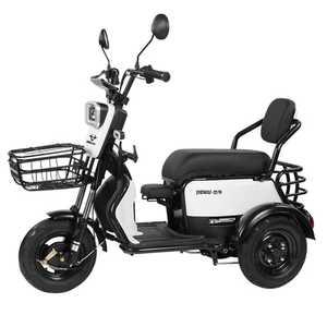 세발전기자전거 삼륜 배달 전동자전거 마실 노인 소형