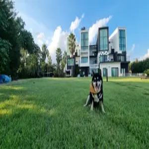 [제주 펜션] 서귀포 제주르페도라 애견동반가능펜션 (남원,표선,성산)