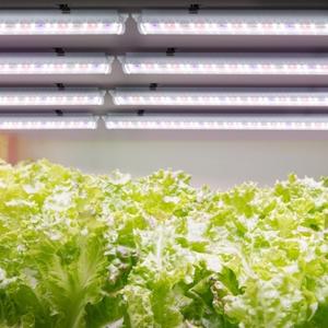 LED 화초재배용 다육이 식물등 8개세트