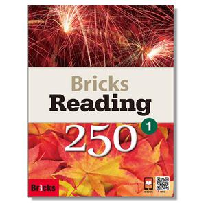 브릭스 리딩 250 1