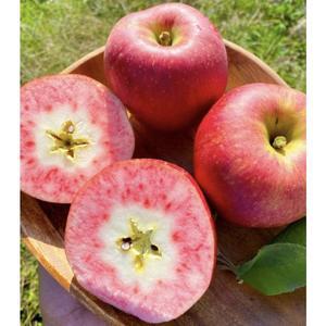 사과처럼 아삭하고 복숭아처럼 달콤한 산지 국내산 꿀 고당도 애플피치 피치애플