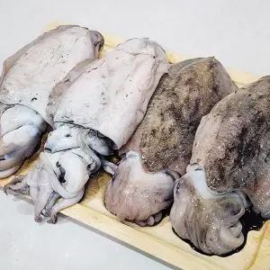 국내산 급냉 갑오징어 2kg 대-특대