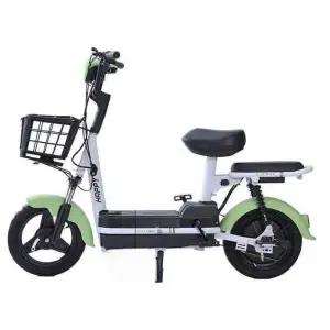 2인용 전기자전거 출퇴근 배터리 산책 마실 장바구니