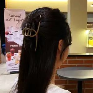 대왕집게핀 올림머리 연브라운 반묶음 무광-WFFNZ6U