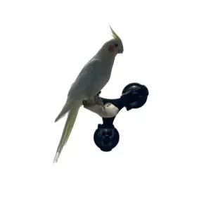 앵무새 놀이터 창문 빨판 부착 횃대 유리 나무 흡착 장난감