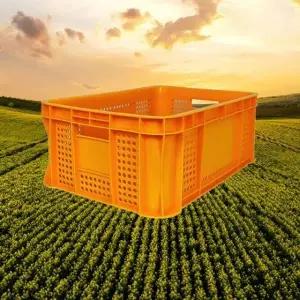 운반상자2호 노랑 5개/사각소쿠리 이사바구니 박스