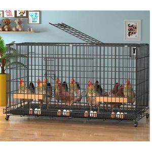 가정용 닭장 실내 관상용 애완 사육 루틴 메추라기 육추 전용 병아리집 양계장 1개