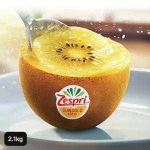 제스프리 썬골드키위 특대과 총 2.1kg (15입,개당 140g내외)