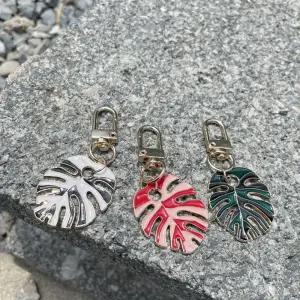 희귀식물 몬스테라 알보 키링 WhH8+4QOg