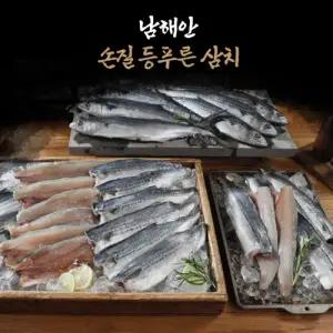 홈쇼핑 정품 신문 남해안 삼치 남해안 손질 등푸른 팔뚝 삼치
