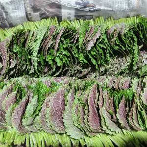 [GAP인증]하루담음 밀양깻잎 찹찹이 당일수확 500g