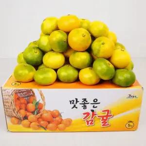 서귀포 당도측정 노지 조생감귤 4.5kg(2S)/소과