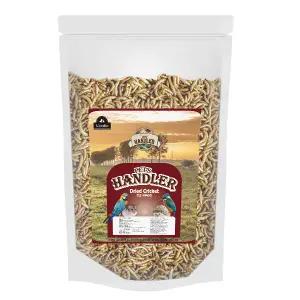 펫츠핸들러 건조밀웜 햄스터&고슴도치 간식 리필 150g