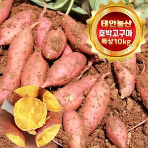 건강한 태안! 안면도 호박고구마 특상(100g~300g) 10kg (박스포함)