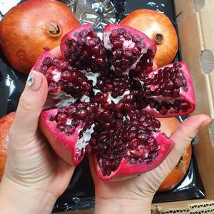 [신규입고] 팬시 생석류 특대과 8-10입 5kg내외