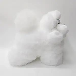 펫마스터/도그위그(시험용)