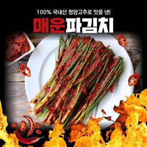 경자네 전라도 국내산 청양 실비 매운 파김치 1kg
