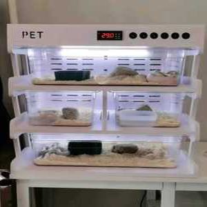 도마뱀 사육장 케이지 크리스티드게코 크레 포맥스 육지거북 파충류 밧드 수납 온열