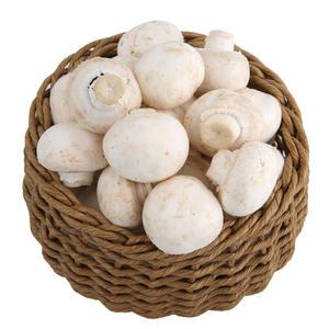 [충남 부여] 정품 양송이 버섯 1kg / 중품