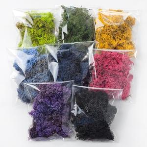 스칸디아모스 20g 30g 소포장 개별포장 공기정화식물 천연이끼 DIY 만들기 재료