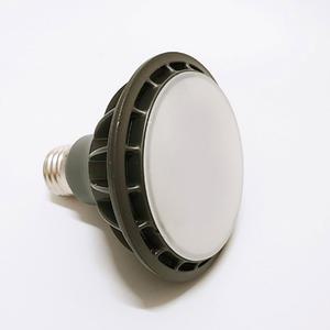 LED PAR30 파삼공 확산형 15W 주광색 6500K 코넬