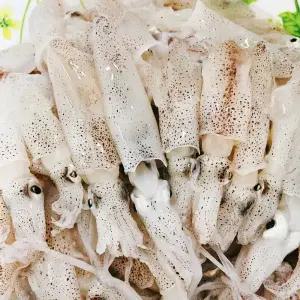 국내산 생물 호래기 꼴뚜기 500g 1kg 급냉 횟감용 숙회용