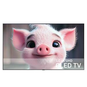[LG] 65인치 4K 올레드 스마트 UHD TV OLED65C3 지방권벽걸이