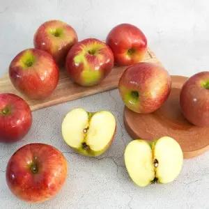 [더조은] 아리수 사과 주스용 3kg 랜덤과