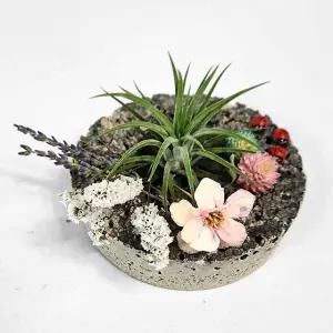 미니화분만들기 DIY 키트 발포세라믹 만들기수업 도우아트 수업재료 교구 미술재료