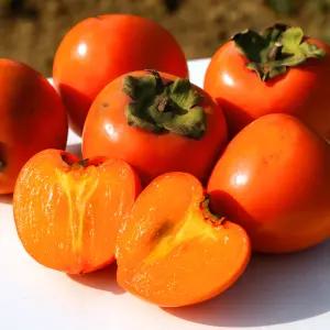 영암 대봉감 10kg(중과/36-40과) 대봉시 연시 홍시