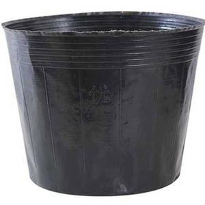 대형 원형 비닐 화분 100개 500개 육묘 15X13 분갈이