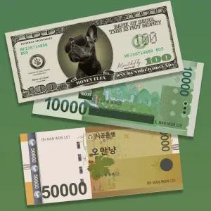 페이크머니 가짜 돈 지폐 지전 3종/80매 대용량 가짜돈 페이크머니 지전