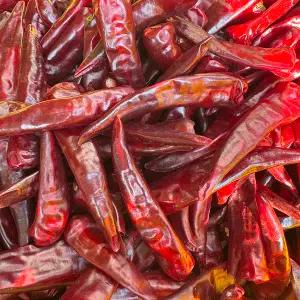 산지 직 송 연구소 국산 농가돕기 노마진 고추가루 깔끔 건조 꼭지제거 특근 건고추 600g 1근