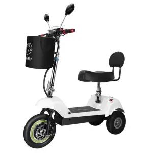 자동차 바이크 전동 세발 스쿠터 3륜 어르신 여성