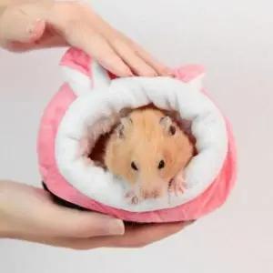골든 햄스터 집 은신처 겨울 숨숨집 꾸미기 4가지_23964954