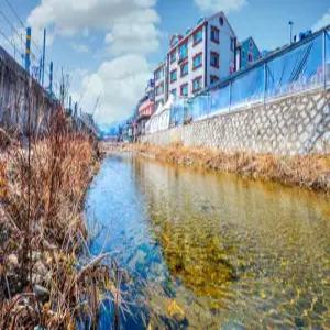 [강원 펜션] 춘천(남이섬) 파인힐펜션 (춘천,강촌)