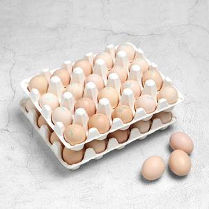 이준석님 자연방사 백봉오골계 유정란 초란 계란 20구 non-gmo