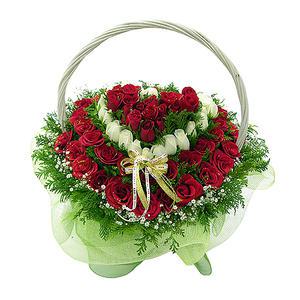 허니문사랑(장미100송이)