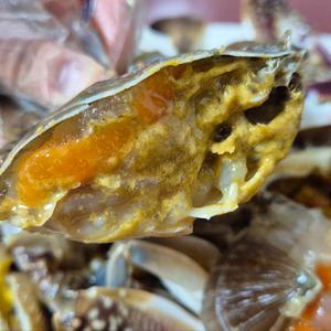 삼점 암꽃게장 간장게장 꽃게장 4kg 6kg