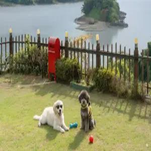 [전남/여수(돌산)] 여수 그린하우스 (가족/애견/주차장/바베큐장/정원/낚시/오션뷰/해수욕장/단체/워터파크/개별바베큐/애견운동장)