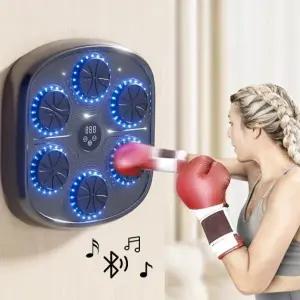 뮤직박싱 펀치 복싱 글러브 벽걸이 권투 체중 조절 + 샌드백 리듬 6타켓 게임