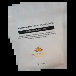 허밍테라피 라이트 독소제거 밸런스 패치, 2개
