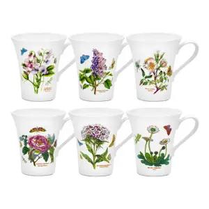 보타닉가든 사각머그6p세트