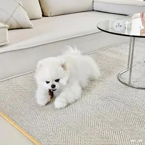 어반엣지 먼지없는 사이잘룩 헤링본 사계절 러그 100x150