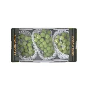 샤인머스캣 2.2kg 박스