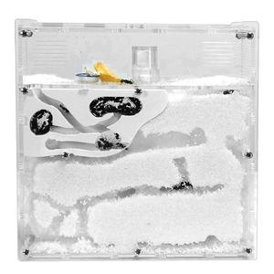 나비 개미사육장 키트 개미집 투명 관찰 미니 개미키우기키트