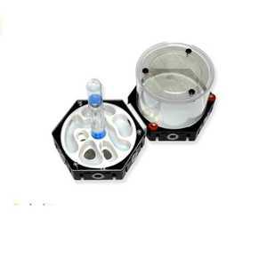 개미집 키우기 둥지 대형 개미 사육장 곤충 상자