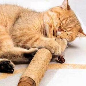 반려묘 스크래치방지 캣로프 장난감 발톱관리 스트레스해소 마따따비 열매