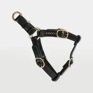 구찌 레더 펫 하네스 692963 2ZR0G 1000